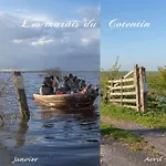 Nocleg ze śniadaniem D'hotes La Cassinne En Cotentin Montebourg