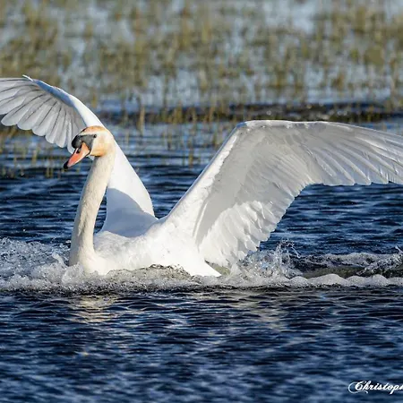 La Cassinne Independantes