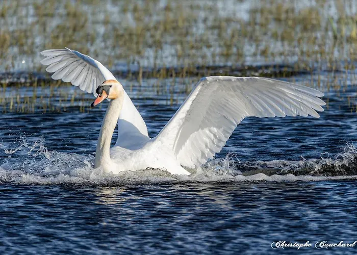 La Cassinne Independantes